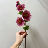 Real Touch Hellebores Stem | Raspberry