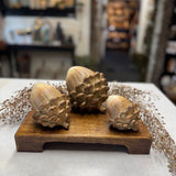 Sitting Acorns | Set of 3
