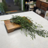 Ruscus Hanging Bush