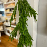 5 Foot Natural Touch Norfolk Pine Garland