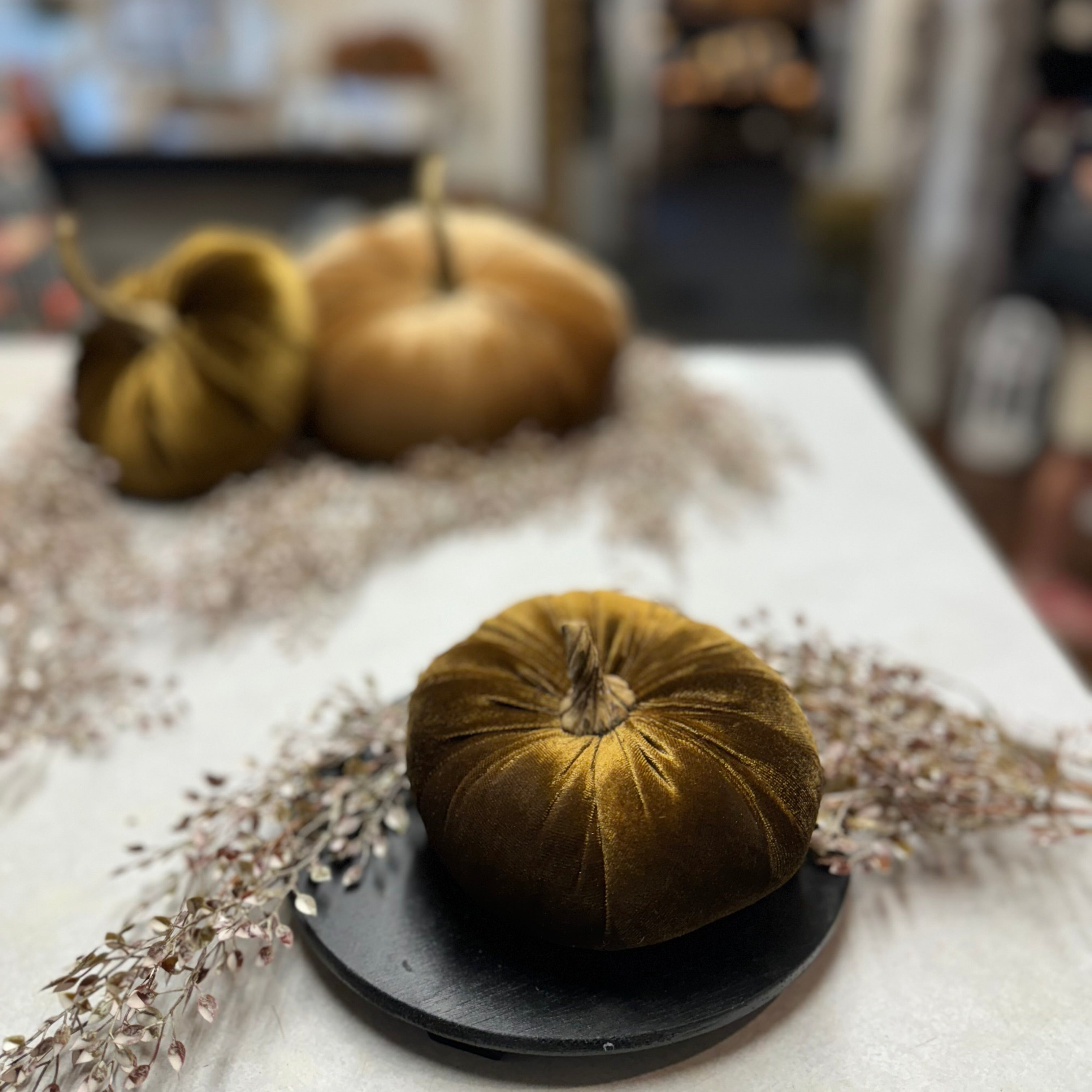 Small Velvet Pumpkin | Assorted Colors