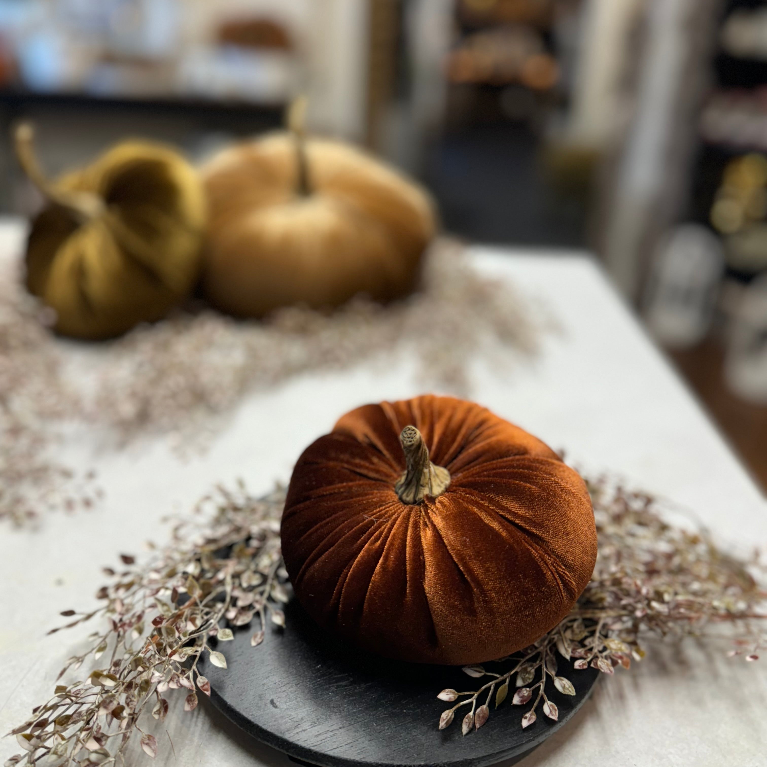 Small Velvet Pumpkin | Assorted Colors