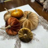 Medium Velvet Pumpkin | Assorted Colors