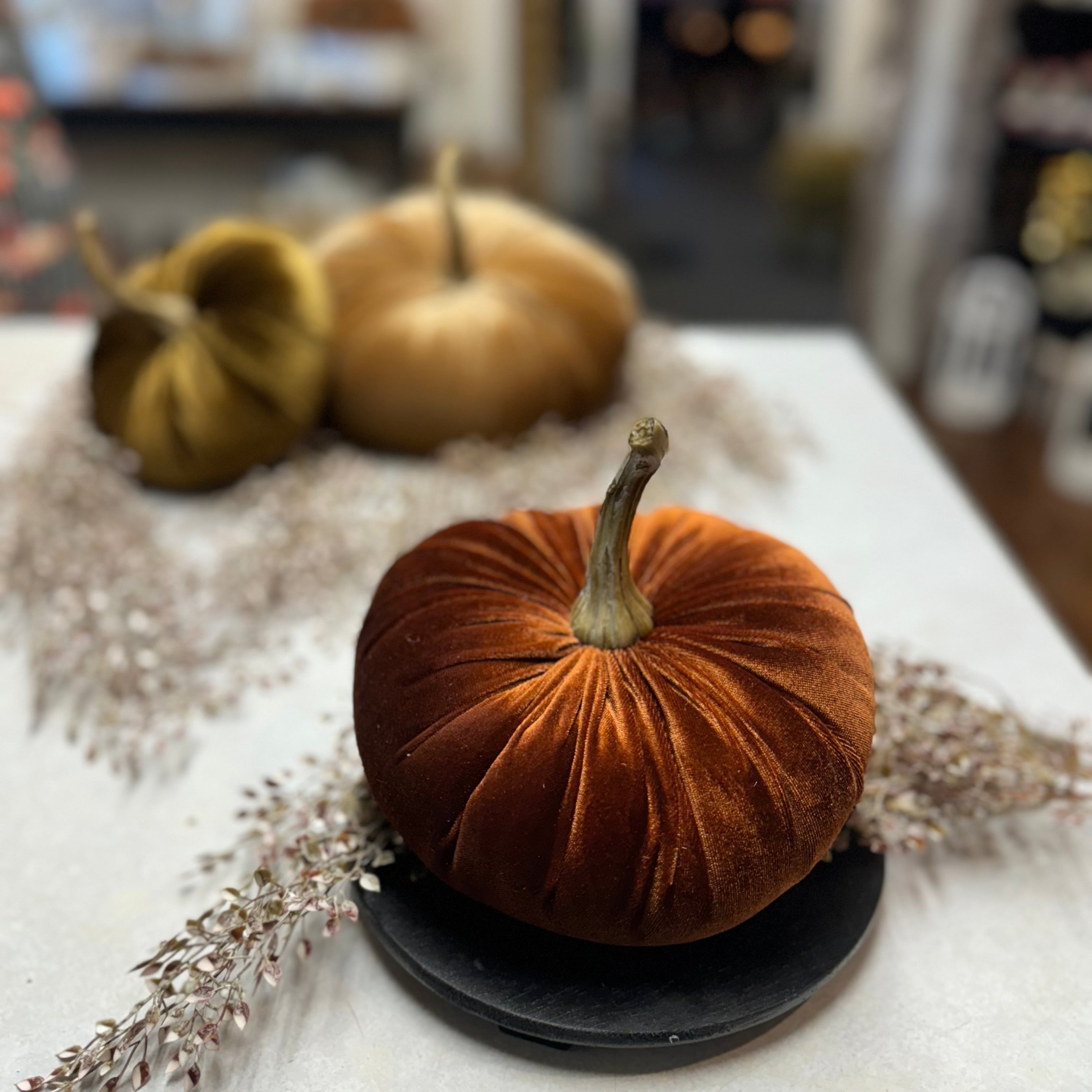 Medium Velvet Pumpkin | Assorted Colors