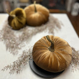 Medium Velvet Pumpkin | Assorted Colors