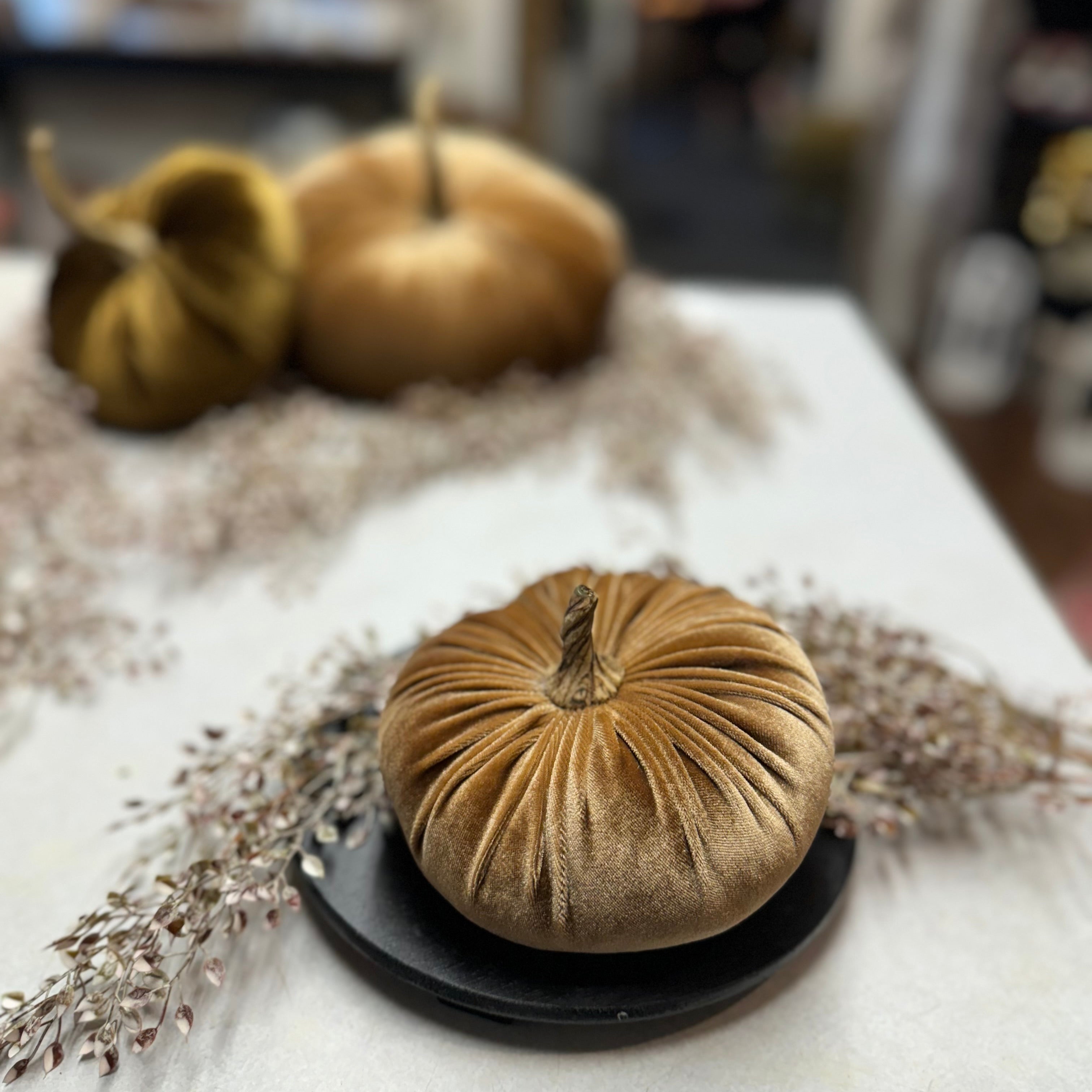 Small Velvet Pumpkin | Assorted Colors