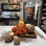 Sitting Acorns | Set of 3