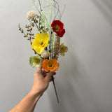 Wildflower Poppy Stem