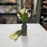 Grape Hyacinth Bundle | White