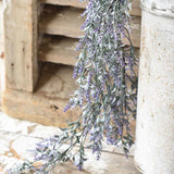 Sheffield Lavender Hanging Greenery