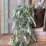 White Sage Boxwood Greenery