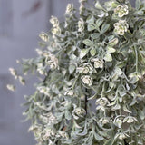 Miramar Buds Hanging | 28"