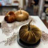 Medium Velvet Pumpkin | Assorted Colors