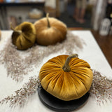 Medium Velvet Pumpkin | Assorted Colors