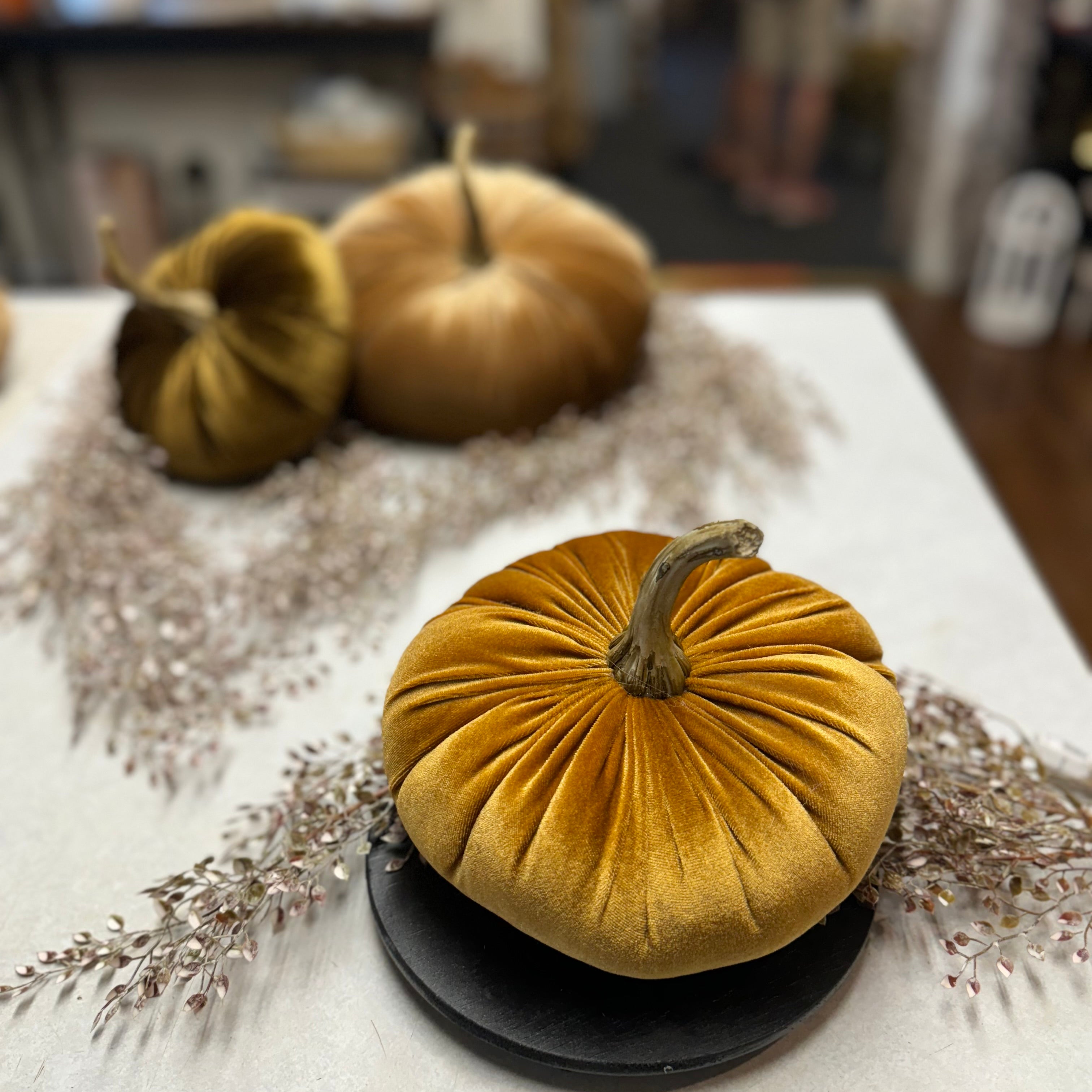 Medium Velvet Pumpkin | Assorted Colors