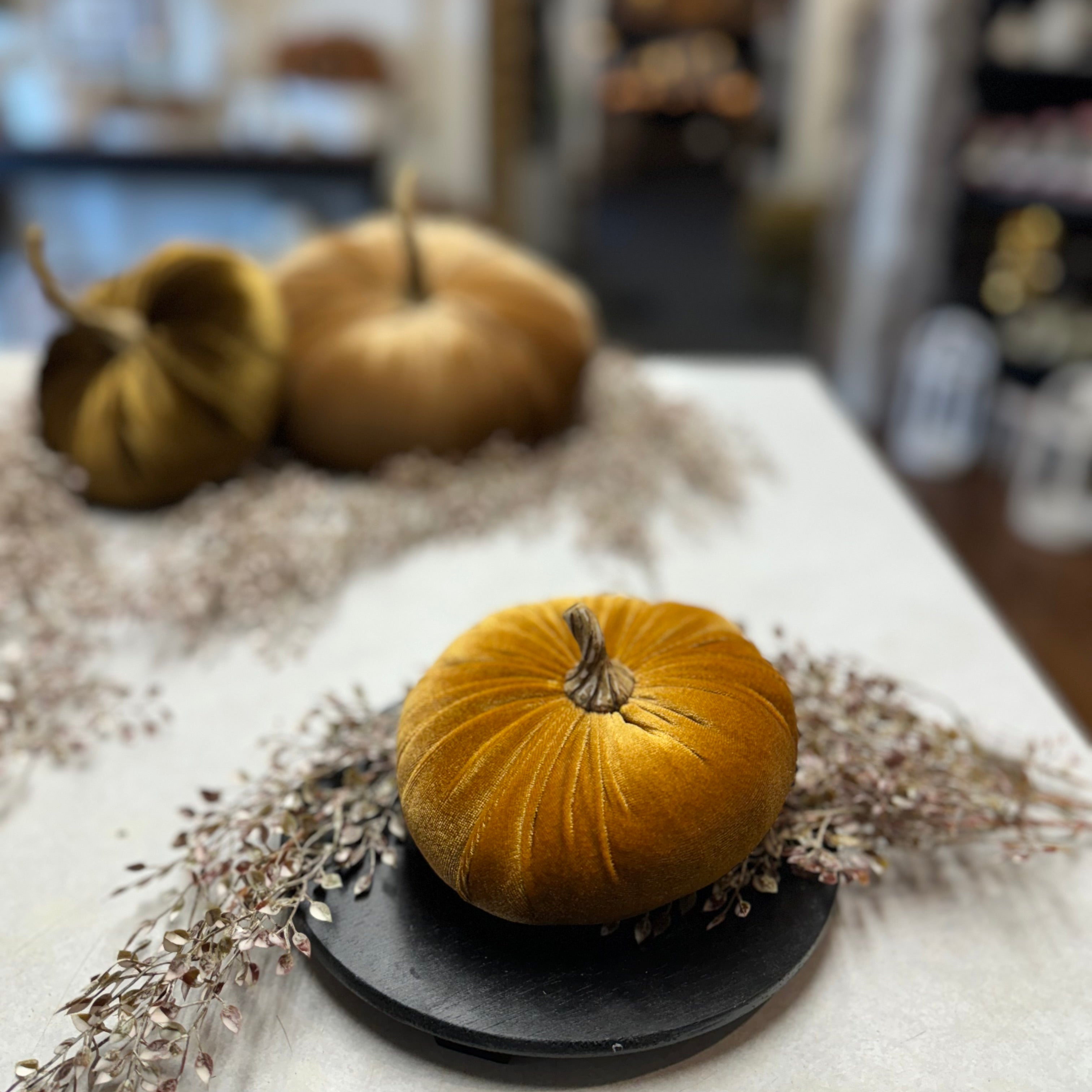 Small Velvet Pumpkin | Assorted Colors