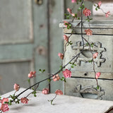 Quince Blooms Garland | 6'