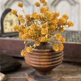 Russet Cone Bush | Golden Yellow
