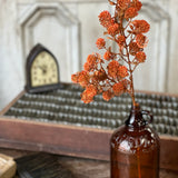 Russet Cone Spray | Sienna