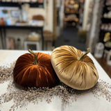 Large Velvet Pumpkin | Assorted Colors