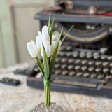 Teeny Tiny Tulips | 7" | Cream