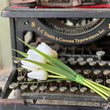 Teeny Tiny Tulips | 7" | Cream