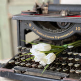 Teeny Tiny Tulips | 7" | Cream