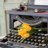 Teeny Tiny Tulips | 7" | Yellow