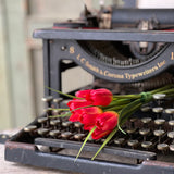 Teeny Tiny Tulips | 7" | Red