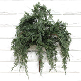 Dark Green Juniper Pick