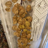 Mustard Eucalyptus Garland