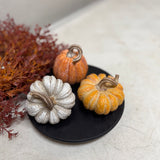 Small Harvest Pumpkins | 3 styles