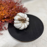 Small Harvest Pumpkins | 3 styles