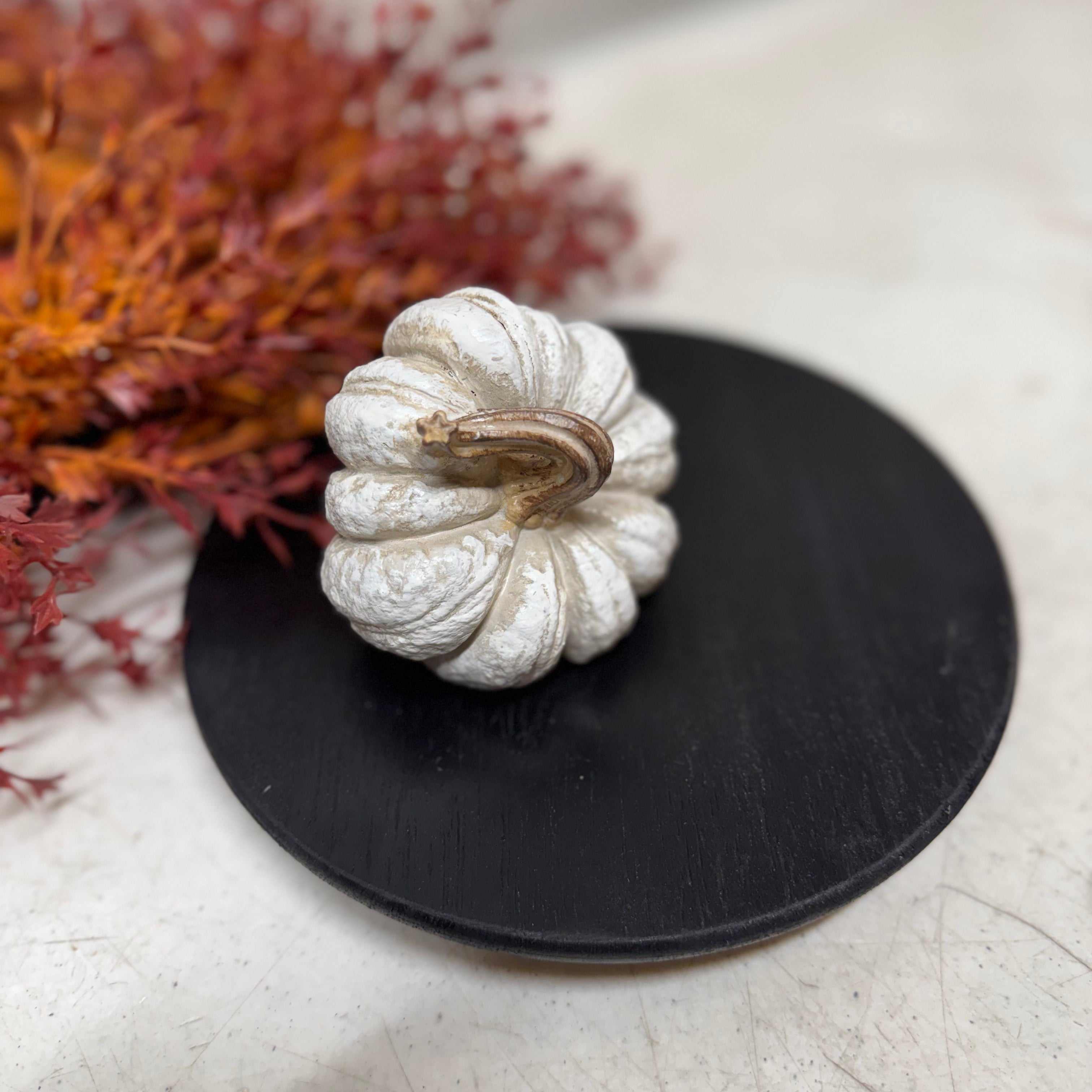 Small Harvest Pumpkins | 3 styles