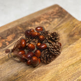 Bagged Acorn and Pinecone Mix