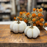 Flat White Pumpkins | 2 Sizes