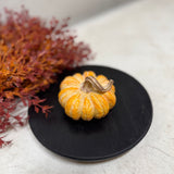 Small Harvest Pumpkins | 3 styles