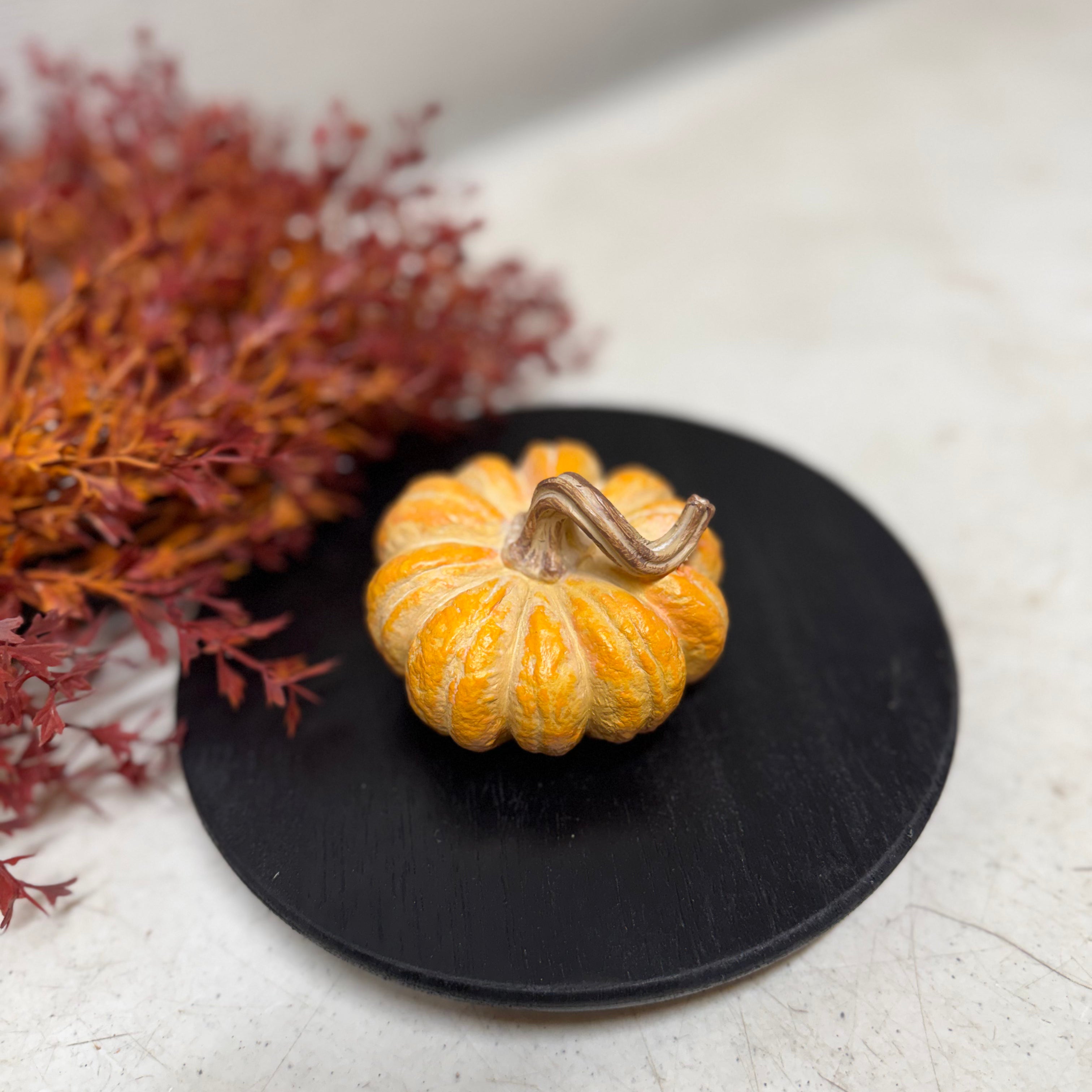 Small Harvest Pumpkins | 3 styles