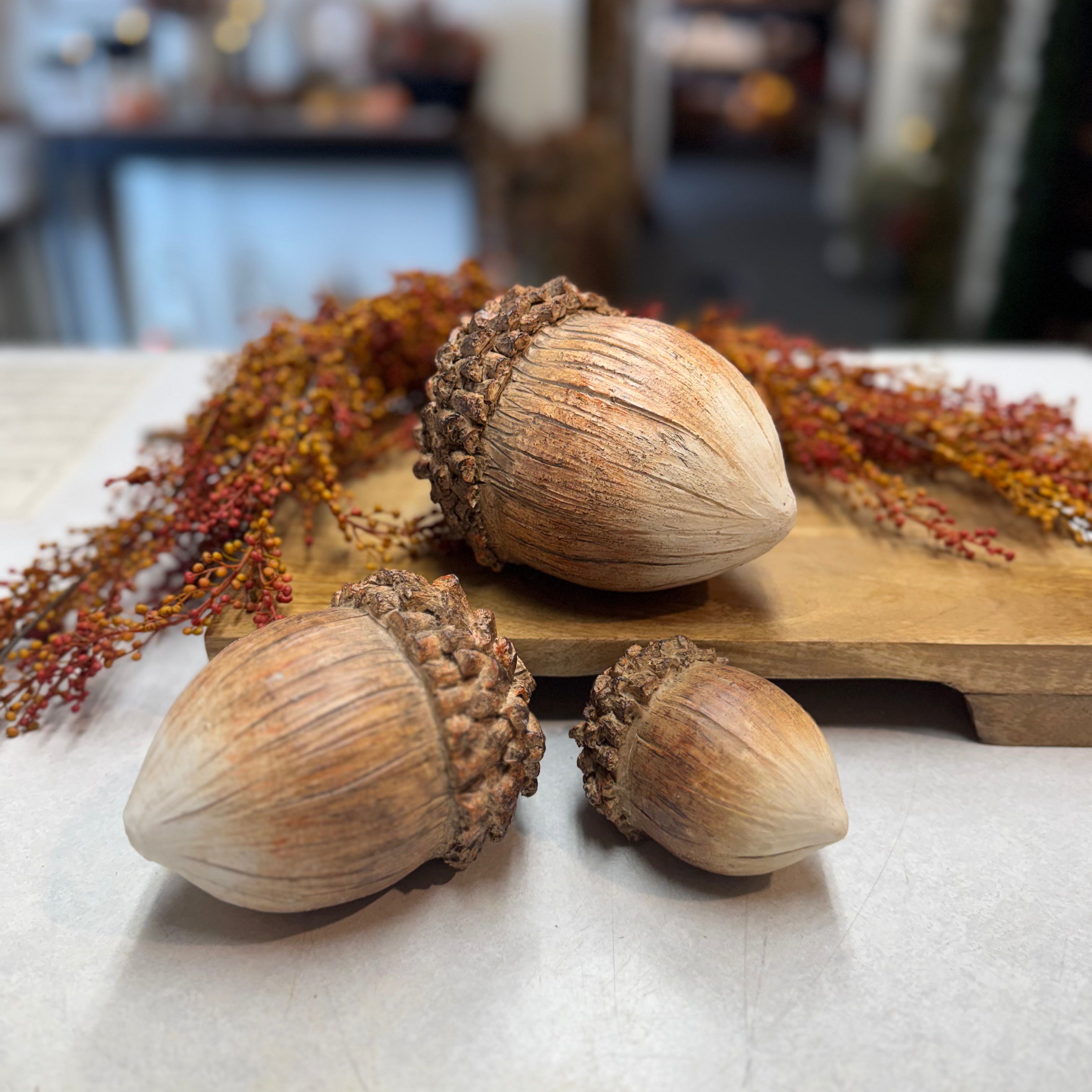 Sitting Acorns | Set of 3