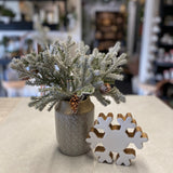 Snowy Fitzgerald Fir Pick