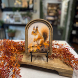 Arch Top Fall Squirrel Framed Art: 6x8”