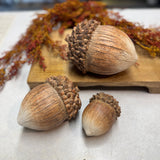 Sitting Acorns | Set of 3