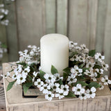 Dressage Dogwood Candle Ring | 4.5”