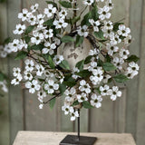 Dressage Dogwood Candle Ring | 4.5”