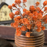 Russet Cone Bush | 12” | Sienna