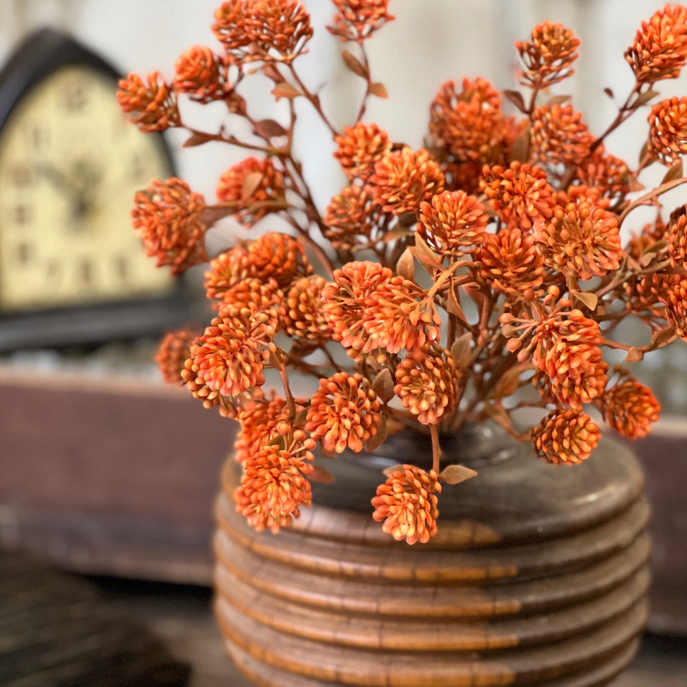 Russet Cone Bush | 12” | Sienna
