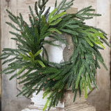 Norfolk Cascade Wreath | 18"