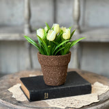 Teacup Tulip Pot | 5" | Cream