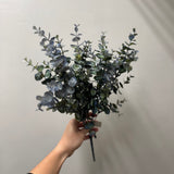 Eucalyptus Bush