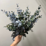 Eucalyptus Bush